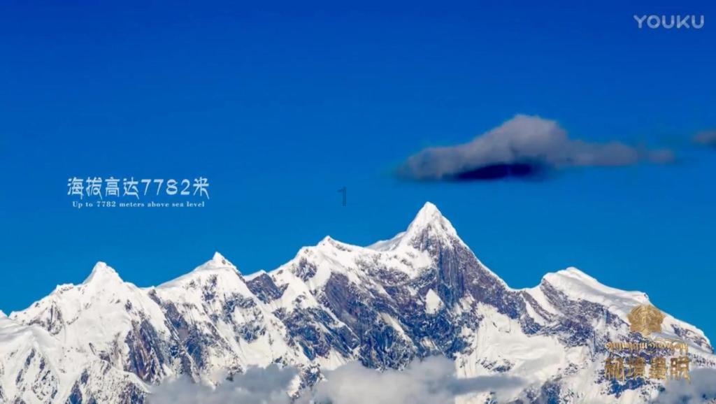 （新春走基层）探访“中国结艺之乡”：“龙元素”中国结走俏海内外